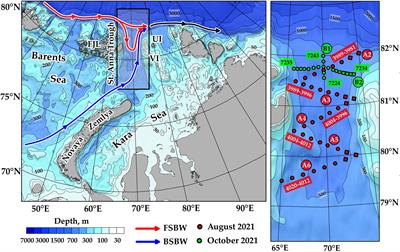 Structure and Circulation of Atlantic Water Masses in the St. Anna Trough in the Kara Sea